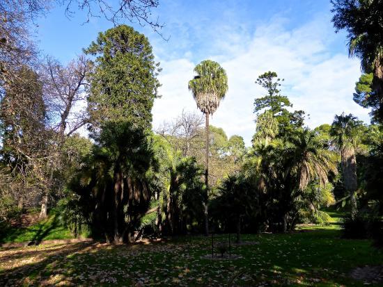 Parque Botánico